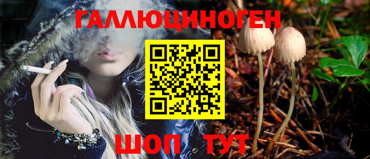 Галлюциногенные грибы Magic Shrooms  цены   Вход с VPN  Назрань  Галлюциногенные грибы Cubensis 